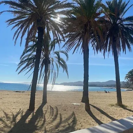 50 M2 - Vue - - Commerces Daire *